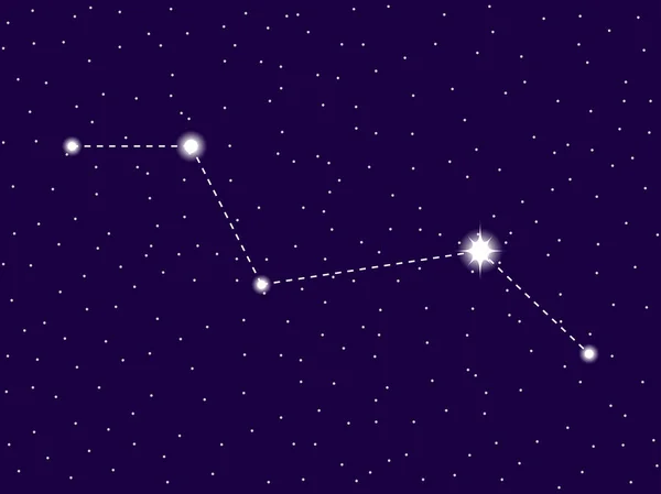 Constelação Vulpecula. Céu estrelado noturno. Conjunto de estrelas e galáxias. Espaço profundo. Ilustração vetorial —  Vetores de Stock