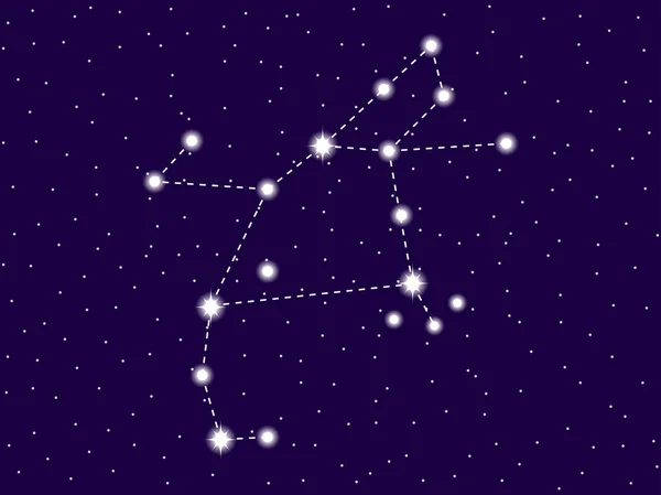 Perseus-constellatie. Starry Night Sky. Cluster van sterren en melkwegstelsels. Diepe ruimte. Vector illustratie — Stockvector