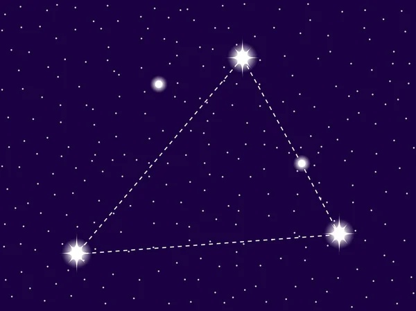 Constelación de Triangulum Australe. Cielo nocturno estrellado. Signo del zodíaco. Racimo de estrellas y galaxias. Espacio profundo. Ilustración vectorial — Vector de stock