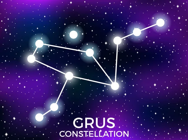 Constelação de Grus. Céu estrelado noturno. Conjunto de estrelas e galáxias. Espaço profundo. Ilustração vetorial — Vetor de Stock
