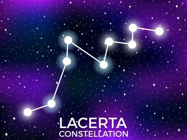 Lacerta Constellation. Starry Night Sky. Sterrenbeeld. Cluster van sterren en melkwegstelsels. Diepe ruimte. Vector illustratie — Stockvector