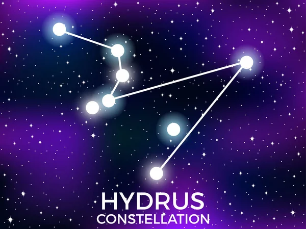 Het sterrenbeeld Hydrus. Starry Night Sky. Sterrenbeeld. Cluster van sterren en melkwegstelsels. Diepe ruimte. Vector illustratie — Stockvector