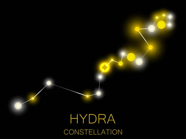 Constelación Hydra Estrellas Amarillas Brillantes Cielo Nocturno Cúmulo Estrellas Espacio — Vector de stock