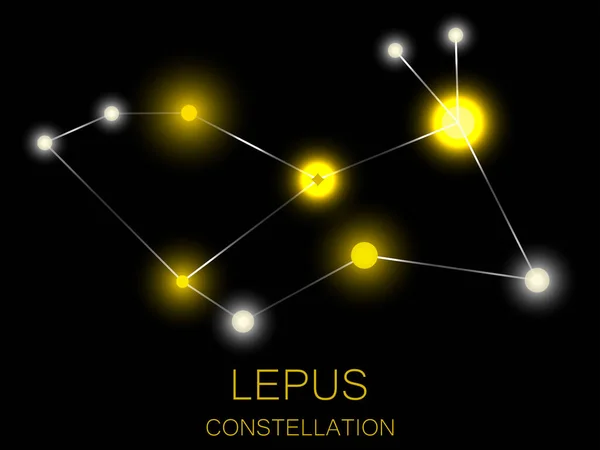Constelación Lepus Estrellas Amarillas Brillantes Cielo Nocturno Cúmulo Estrellas Espacio — Vector de stock