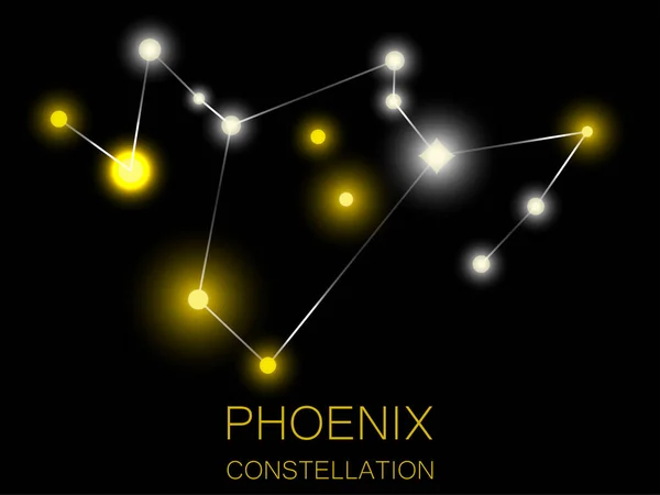 Constelación Phoenix Estrellas Amarillas Brillantes Cielo Nocturno Cúmulo Estrellas Espacio — Vector de stock
