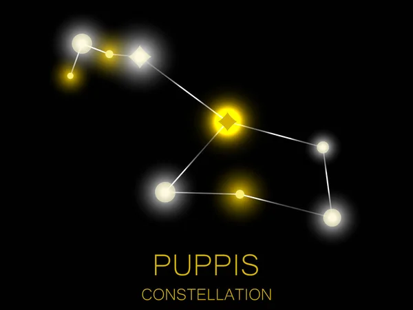 Constelación Cachorros Estrellas Amarillas Brillantes Cielo Nocturno Cúmulo Estrellas Espacio — Vector de stock