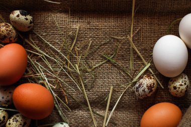 Taze, çiğ yumurta çim üzerinde yalan. Ahşap arka plan. Çuval bezi doku. Organik arka plan. Sağlıklı beslenme. Paskalya kompozisyon