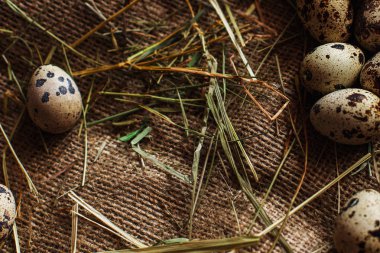 Taze, çiğ yumurta çim üzerinde yalan. Ahşap arka plan. Çuval bezi doku. Organik arka plan. Sağlıklı beslenme. Paskalya kompozisyon