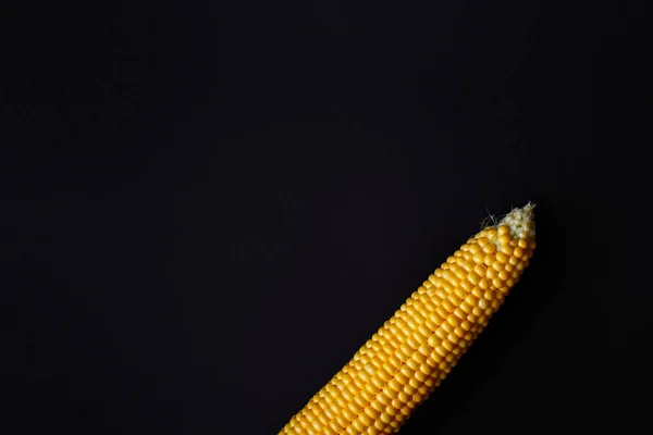 Golden Corns Black Background Organic Maize Top View — Stock Photo, Image