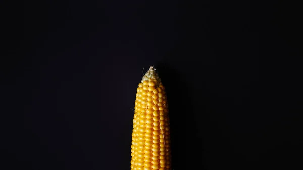 Gouden Likdoorns Zwarte Achtergrond Biologische Maïs Bovenaanzicht — Stockfoto