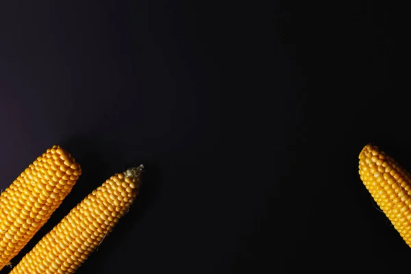 金色的玉米在黑色的背景 有机玉米 顶部视图 — 图库照片