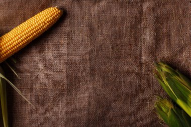 Olgun Mısır çuval bezi arka plan