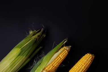 Siyah zemin üzerine sarı, tatlı mısır koçanı. Üstten görünüm