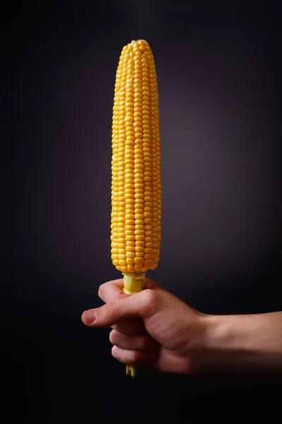 Mão Masculina Segurar Espiga Milho Maduro Fundo Preto Alimentos Orgânicos — Fotografia de Stock