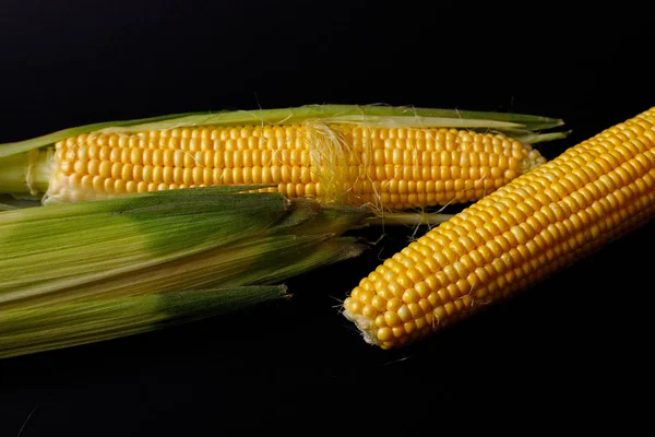 黑色背景的新鲜玉米芯 有机玉米 天然食品 — 图库照片