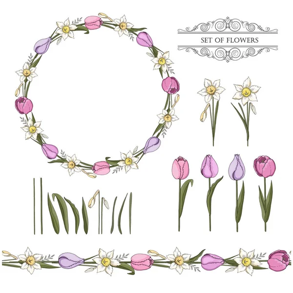 Set Aus Seamlees Blumenpinsel Kranz Tulpen Narzissen Knospen Blättern Und Stockvektor