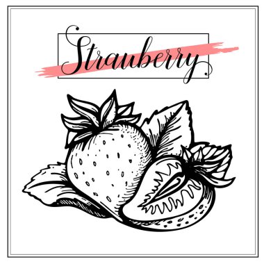 Çilek, olgun çilek bir dalı. Grafik, çizilmiş kroki. Retro tarzı mürekkep kroki çilek. Bir etiket, büyük poster, yazdırma