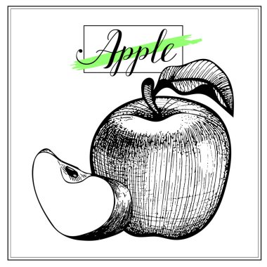 Apple ele beyaz arka plan üzerinde yalıtılmış bağbozumu küçük resim çekin. Yaz meyve stil illüstrasyon kazınmış. Detaylı Vejetaryen yiyecekler. Bir etiket, büyük poster, yazdırma.