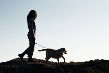 Genç güzel kız kumlu bir çukur karşı bir köpek yürüyüş.