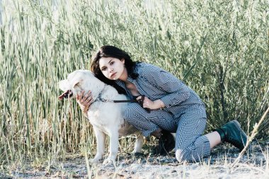 Genç güzel kız köpeğini yeşil çim çerçevede bir kucak.