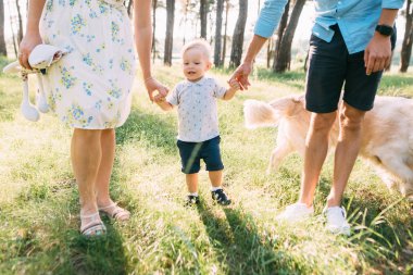 Şirin bir aile - anne, baba ve oğlu eğlenceli harcamak zaman açık havada ile onların köpek.