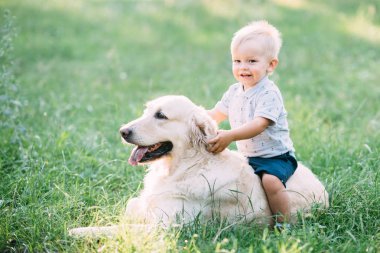 Labrador retriever köpek ormanda birlikte ile oynayan küçük çocuk.