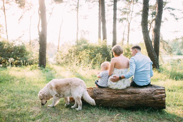 Cute Family Mom Dad Son Spend Fun Time Outdoors Dog — Stock Photo, Image