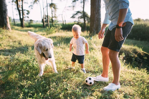 Father Day Happy Family Father Toddler Son Playing Laughing Nature — Stock Photo, Image