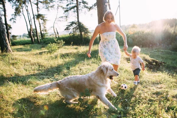 A young, sympathetic mother with a son and a dog actively and cheerfully spend time in nature.