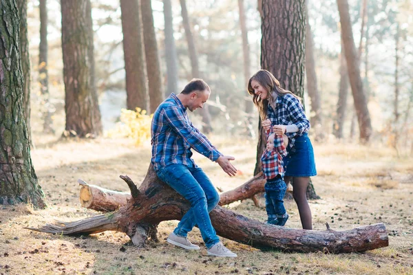 Una Famiglia Carina Mamma Papà Figlio Trascorrono Del Tempo Divertente — Foto Stock