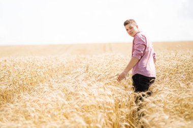 Cesur yakışıklı adam buğday ın arasında bir tarlada duruyor. Yaz hasat zamanıdır