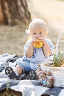 Küçük sevimli çocuk bir battaniye üzerinde doğa üzerinde oturur ve sulu meyve yiyor.