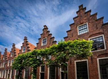 Hollanda 'nın Haarlem, Hollanda' daki Tarihi Adımlı Evleri.