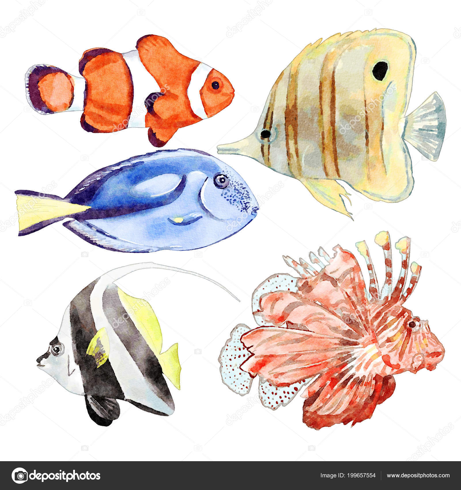 Watercolor Sea Animals Illustration Set Stock Photo by ©maryswell 199657554