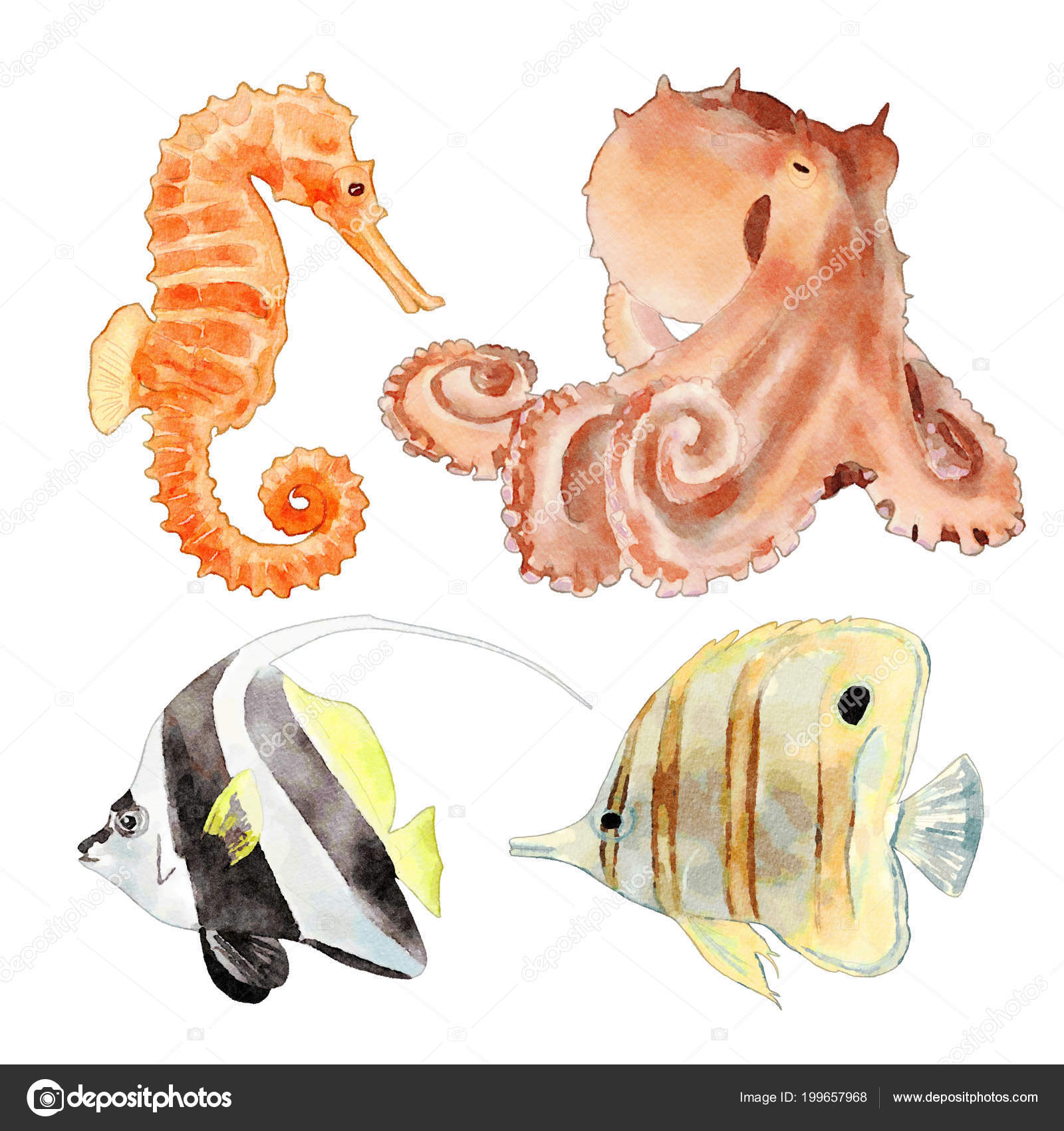 Watercolor Sea Animals Illustration Set Stock Photo by ©maryswell 199657968