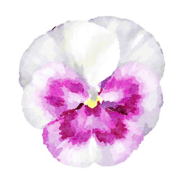 Suluboya homo çiçek şekil