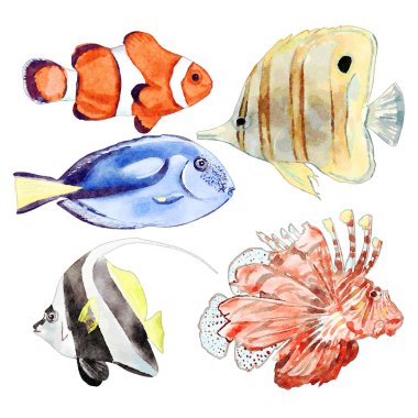 Suluboya Deniz hayvanlar illüstrasyon Set