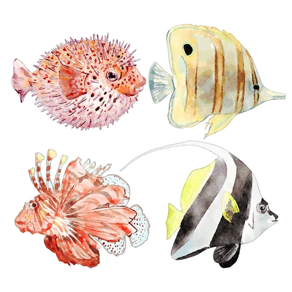 Watercolor Sea Animals Illustration Set — Stock Photo, Image