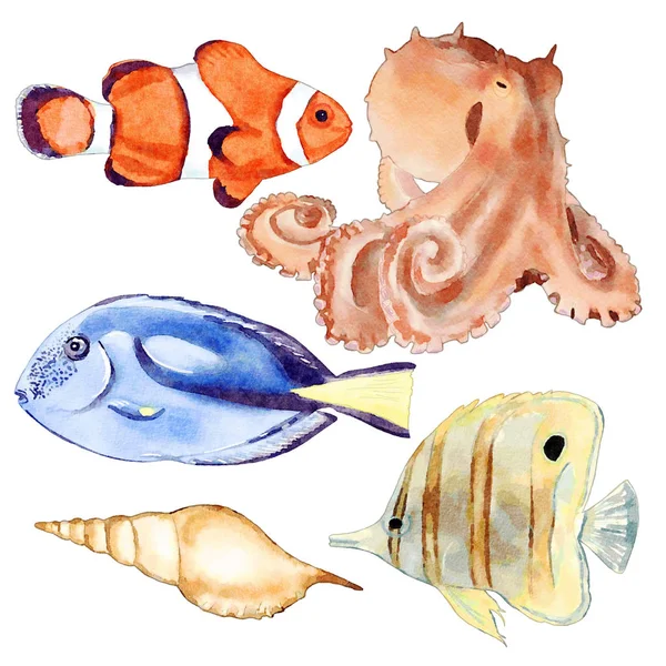 Zestaw Ilustracji Zwierząt Akwarela Morze — Zdjęcie stockowe