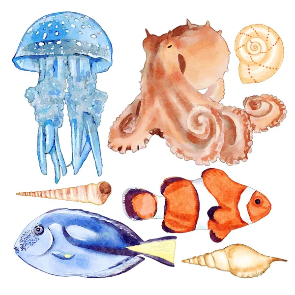 Acuarela Mar Animales Juego Ilustración —  Fotos de Stock