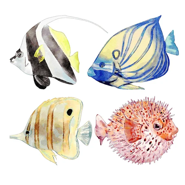 Conjunto Ilustração Animais Marinhos Aquarela — Fotografia de Stock