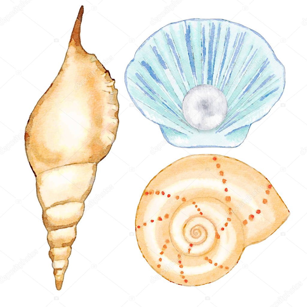 Watercolor Sea Shells Set