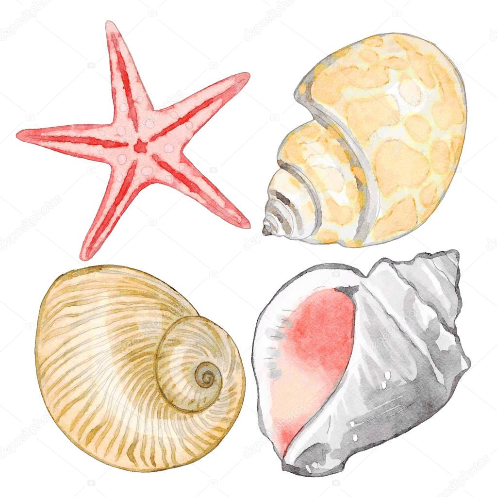Watercolor Sea Shells Set