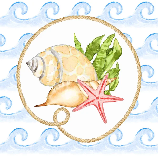 Akwarela Sea Shell Ilustracja — Zdjęcie stockowe