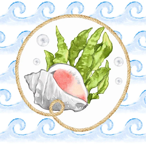 Aquarelle Illustration Coquille Mer — Photo