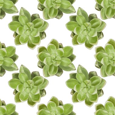 Yeşil lezzetli elle çizilmiş Seamless modeli