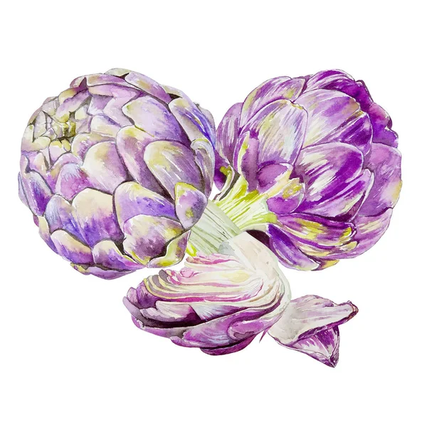 Purple Artichoke Watercolor Arrangement Illustration — Stock Photo, Image