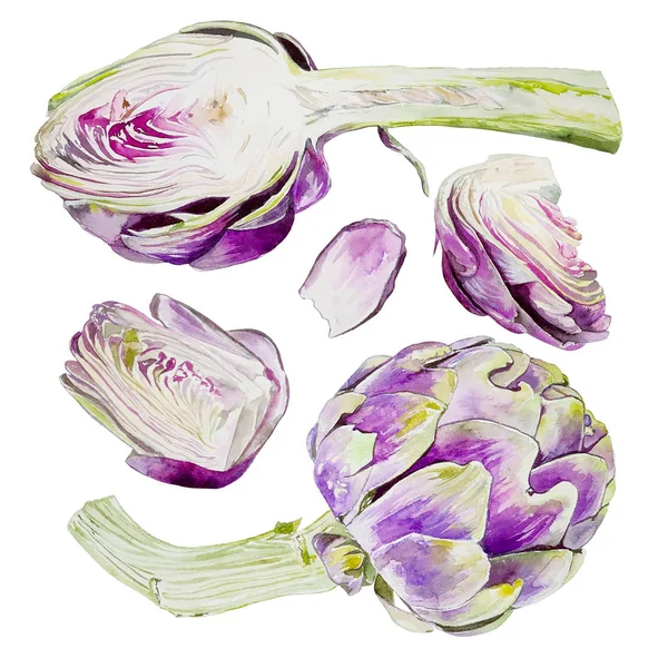 Purple Artichoke Watercolor Hand Drawn Set — Stock Photo, Image