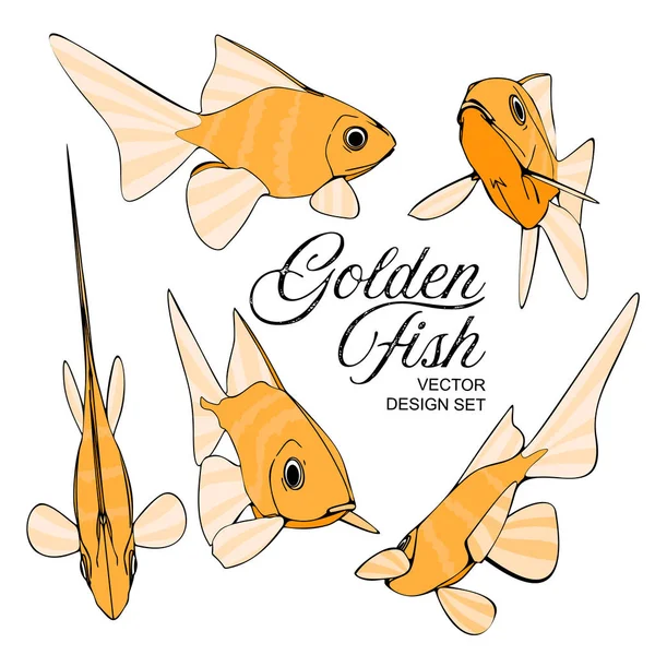 Vector Golden Fish Juego de Ilustración — Archivo Imágenes Vectoriales