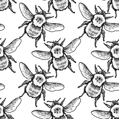 Stampabumblebee Vektör Kroki Dikişsiz Desen